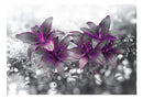 https://www.fotoartgeist.pl/ebaytemp/fototapety/b-A-0300-a-c/b-A-0300-a-c.jpg