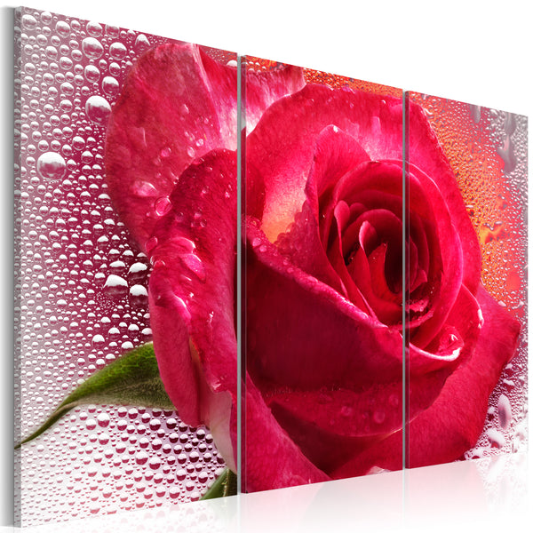 https://www.fotoartgeist.pl/ebaytemp/obrazy/020110-36/020110-36-eb10.jpg