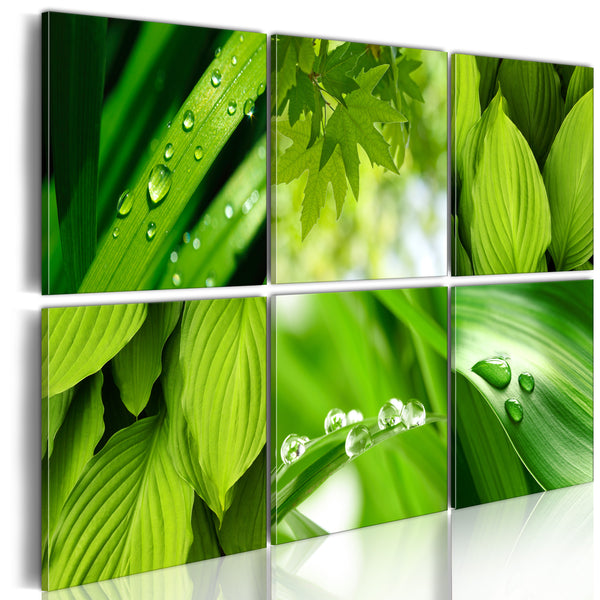 https://www.fotoartgeist.pl/ebaytemp/obrazy/030210-78/030210-78-eb10.jpg