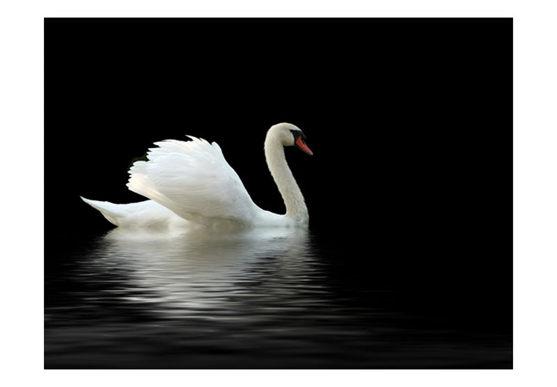 https://www.fotoartgeist.pl/ebaytemp/fototapety/100403-112/100403-112.jpg