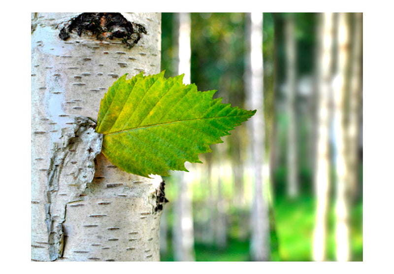 https://www.fotoartgeist.pl/ebaytemp/fototapety/100403-146/100403-146.jpg