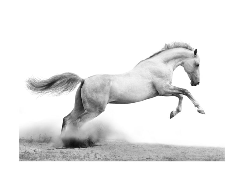 https://www.fotoartgeist.pl/ebaytemp/fototapety/100403-177/100403-177.jpg