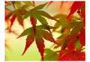 https://www.fotoartgeist.pl/ebaytemp/fototapety/100403-31/100403-31.jpg