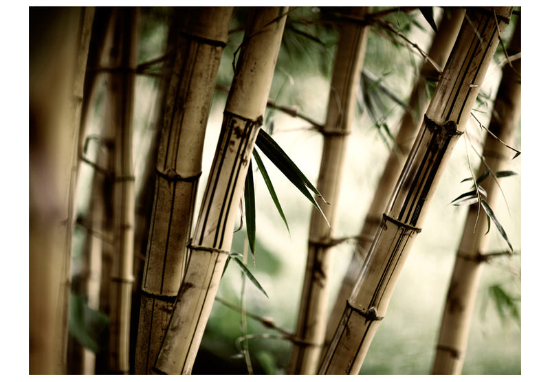 https://www.fotoartgeist.pl/ebaytemp/fototapety/100403-35/100403-35.jpg