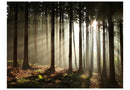 https://www.fotoartgeist.pl/ebaytemp/fototapety/100403-38/100403-38.jpg