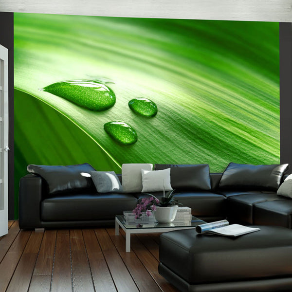 https://www.fotoartgeist.pl/ebaytemp/fototapety/100403-67/100403-67-eb10.jpg