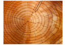 https://www.fotoartgeist.pl/ebaytemp/fototapety/100405-19/100405-19.jpg