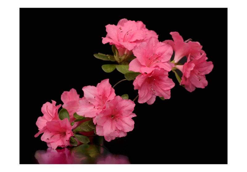https://www.fotoartgeist.pl/ebaytemp/fototapety/100406-124/100406-124.jpg