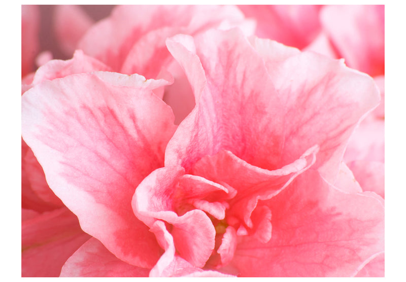 https://www.fotoartgeist.pl/ebaytemp/fototapety/100406-47/100406-47.jpg