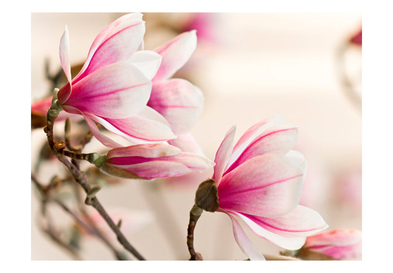 https://www.fotoartgeist.pl/ebaytemp/fototapety/100406-92/100406-92.jpg