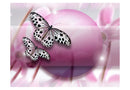 https://www.fotoartgeist.pl//ebaytemp/fototapety/10040903-81/10040903-81.jpg