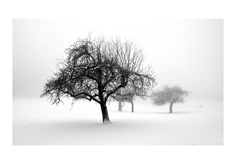 https://www.fotoartgeist.pl//ebaytemp/fototapety/100603-22/100603-22.jpg