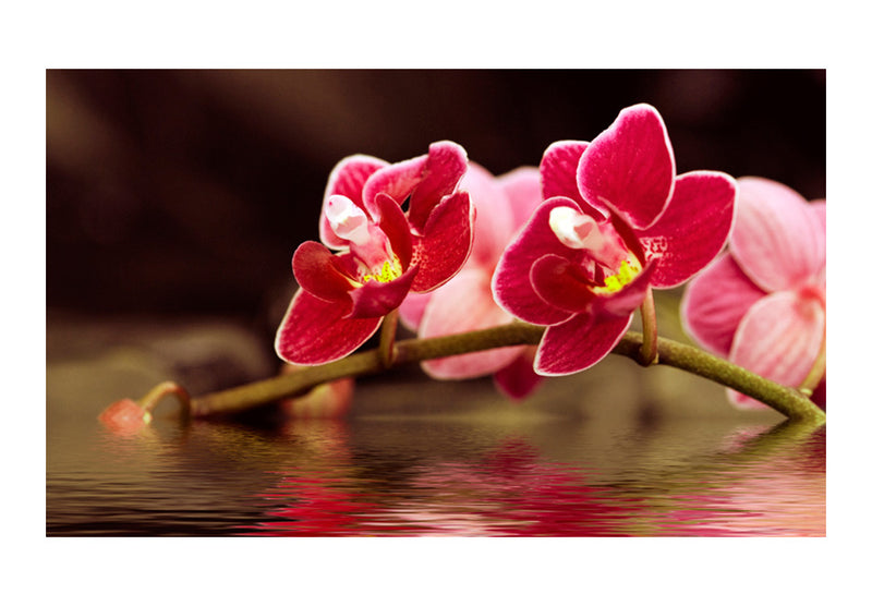 https://www.fotoartgeist.pl//ebaytemp/fototapety/100606-5/100606-5.jpg