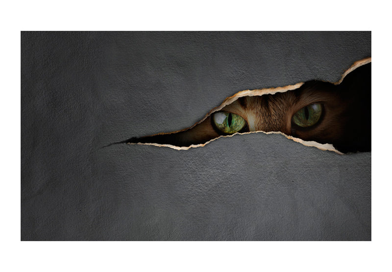 https://www.fotoartgeist.pl//ebaytemp/fototapety/10060903-3/10060903-3.jpg