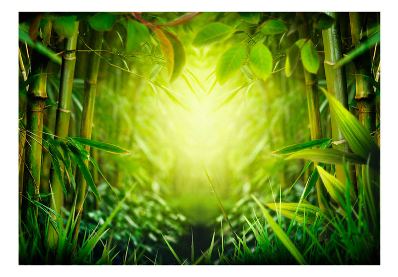 https://www.fotoartgeist.pl/ebaytemp/fototapety/10110903-31/10110903-31.jpg