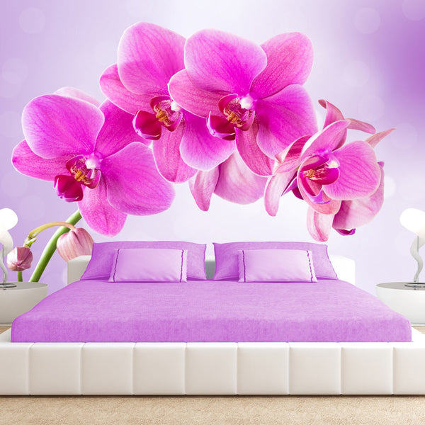 https://www.fotoartgeist.pl/ebaytemp/fototapety/10110906-120/10110906-120-eb10.jpg