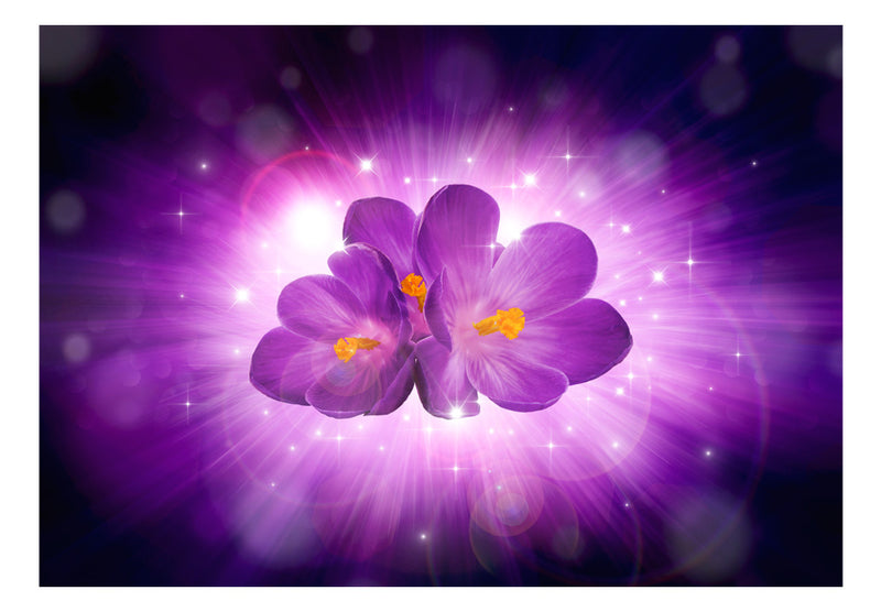 https://www.fotoartgeist.pl/ebaytemp/fototapety/10110906-127/10110906-127.jpg