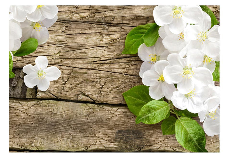https://www.fotoartgeist.pl/ebaytemp/fototapety/10110906-77/10110906-77.jpg