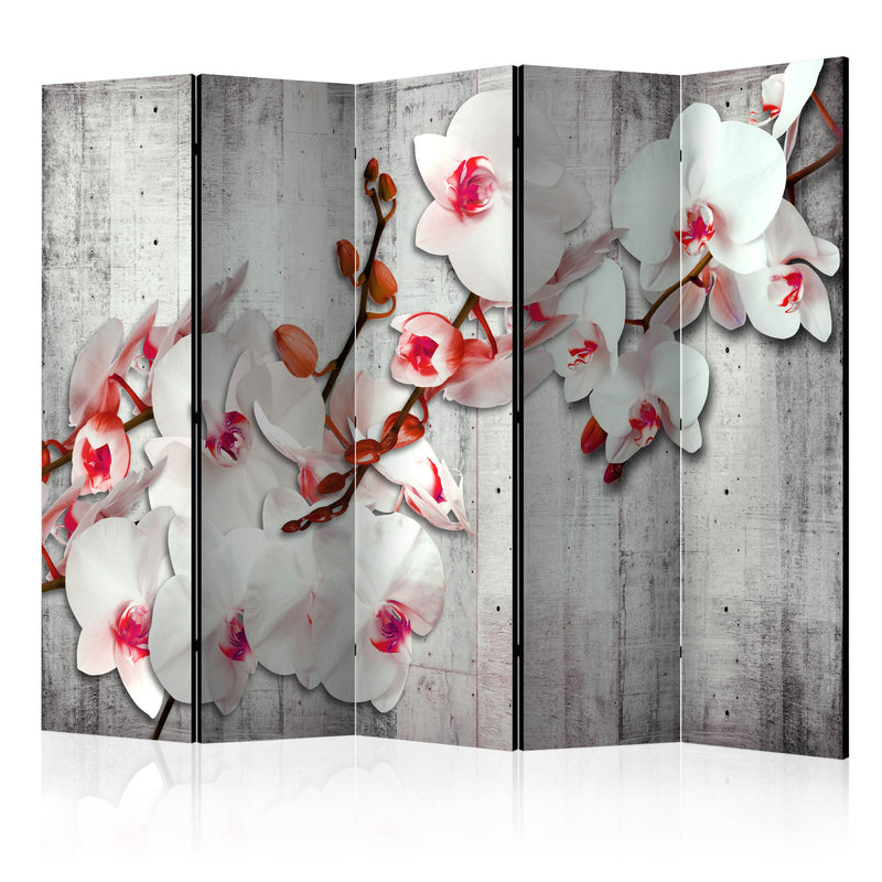 https://www.fotoartgeist.pl/ebaytemp/parawan/b-A-0157-z-c/b-A-0157-z-c-eb1.jpg