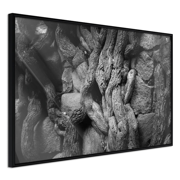 Poster - Strong Roots  - zwart