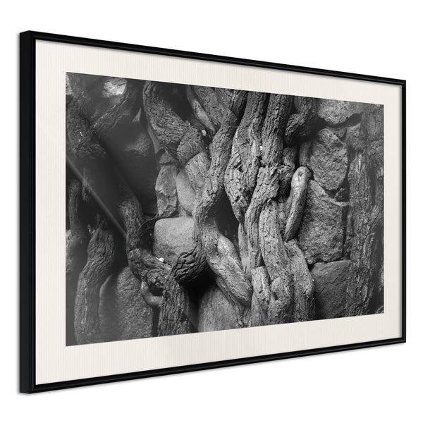 Poster - Strong Roots  - zwart passepartout