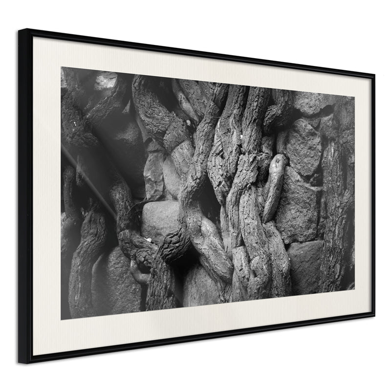 Poster - Strong Roots  - zwart passepartout