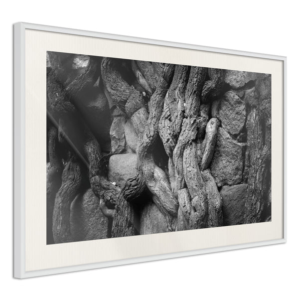 Poster - Strong Roots  - wit passepartout