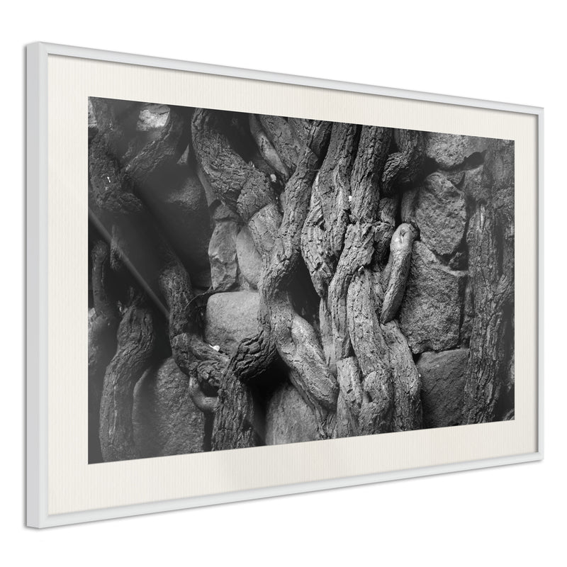 Poster - Strong Roots  - wit passepartout