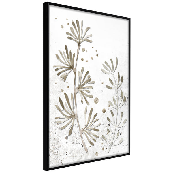 Poster - Dried Plants  - zwart