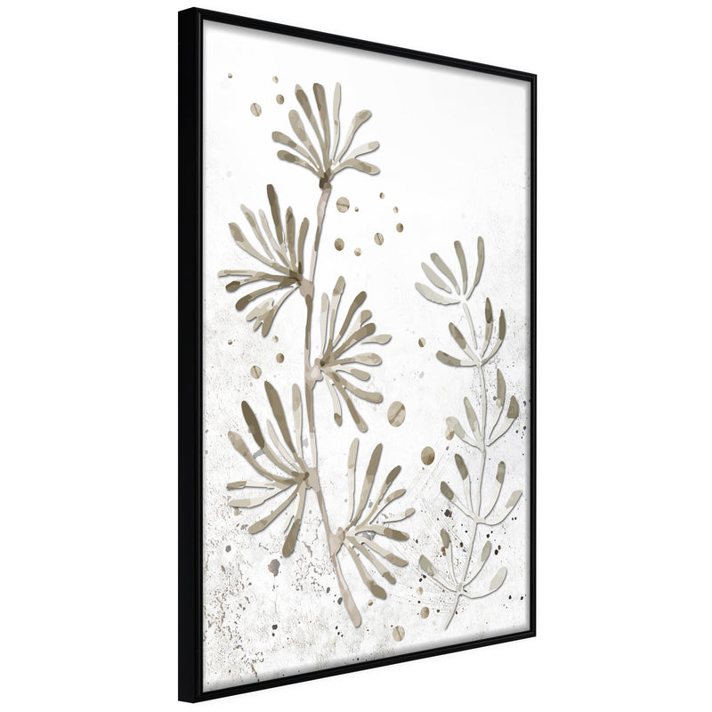 Poster - Dried Plants  - zwart