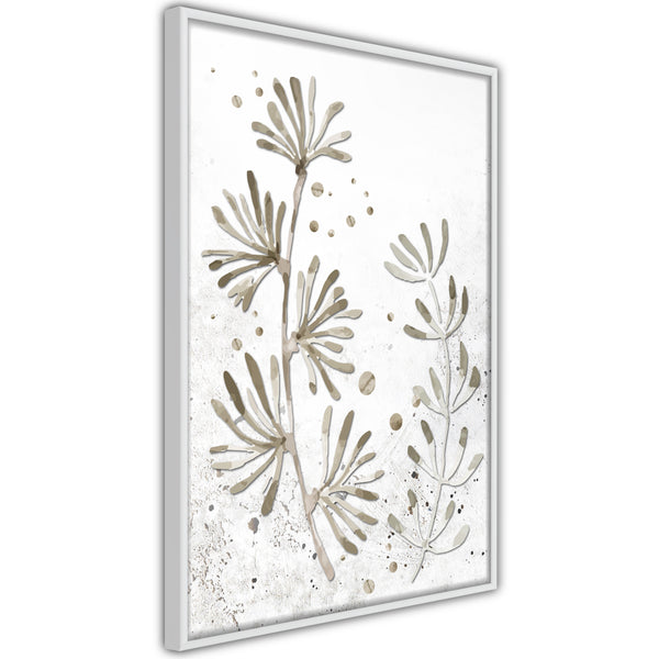 Poster - Dried Plants  - wit