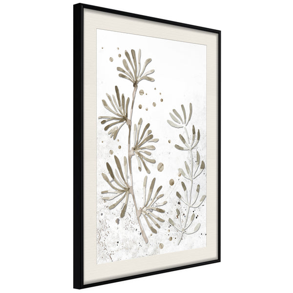 Poster - Dried Plants  - zwart passepartout