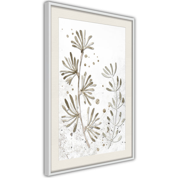 Poster - Dried Plants  - wit passepartout