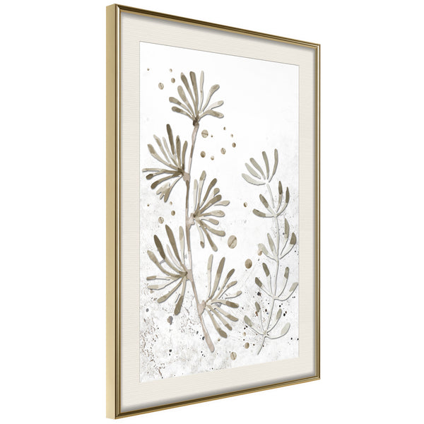 Poster - Dried Plants  - goud passepartout
