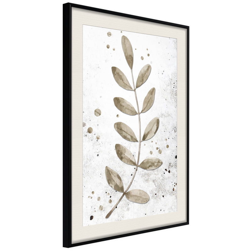 Poster - Dried Twig  - zwart passepartout