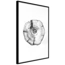 Poster - Tree Rings  - zwart