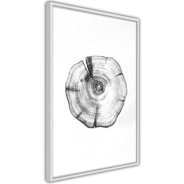 Poster - Tree Rings  - wit