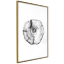 Poster - Tree Rings  - goud