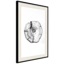 Poster - Tree Rings  - zwart passepartout