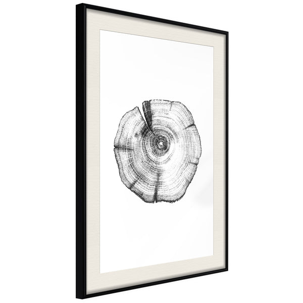 Poster - Tree Rings  - zwart passepartout