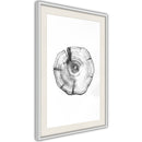 Poster - Tree Rings  - wit passepartout