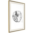 Poster - Tree Rings  - goud passepartout
