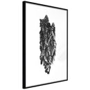 Poster - Texture of a Tree  - zwart