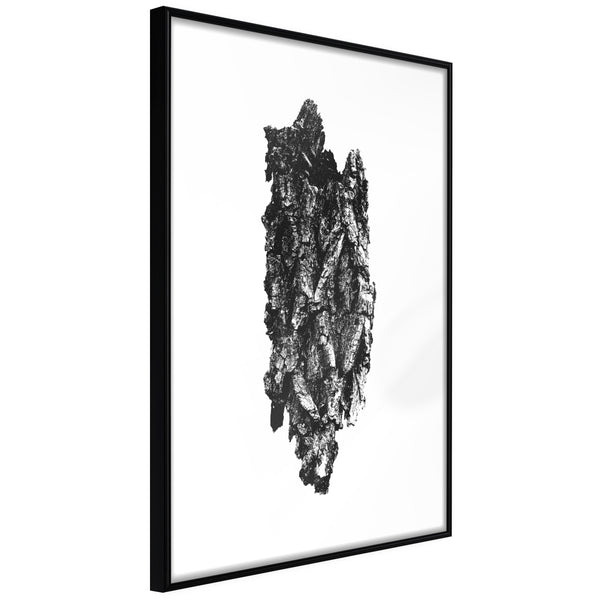 Poster - Texture of a Tree  - zwart