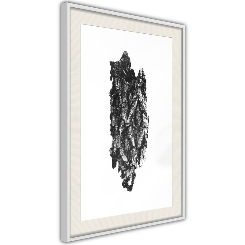 Poster - Texture of a Tree  - wit passepartout