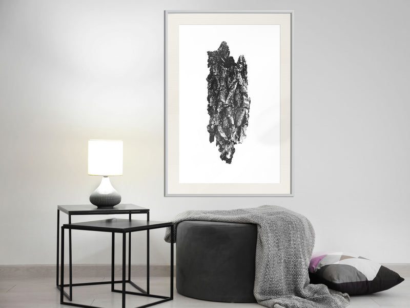 Poster - Texture of a Tree  - wit passepartout