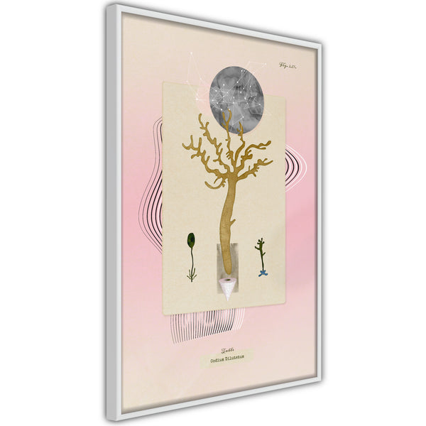 Poster - Aquatic Plant  - wit