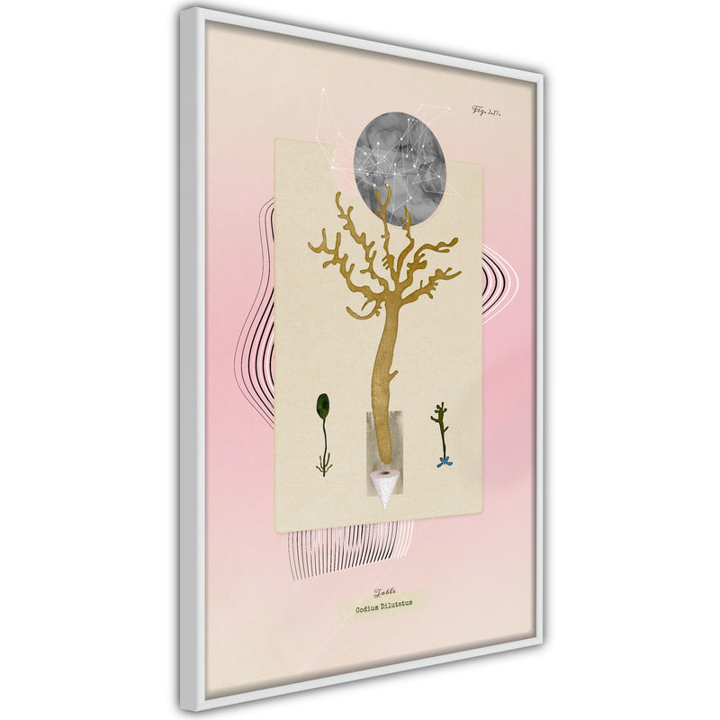 Poster - Aquatic Plant  - wit