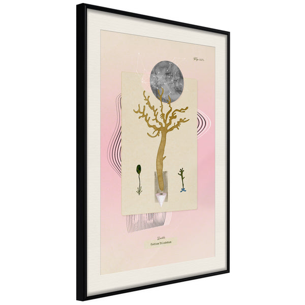 Poster - Aquatic Plant  - zwart passepartout