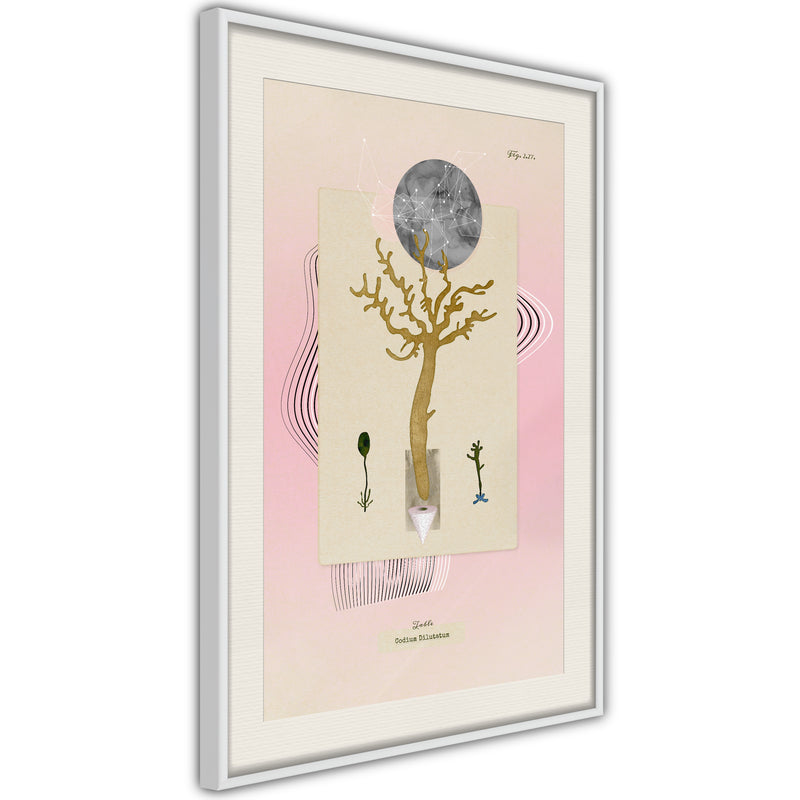 Poster - Aquatic Plant  - wit passepartout